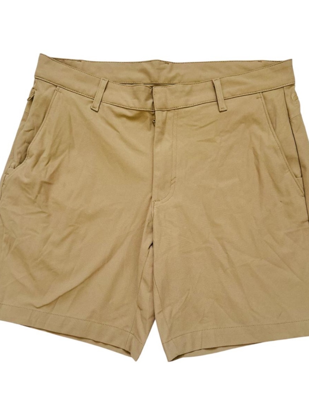 Fabletics  shorts size 33